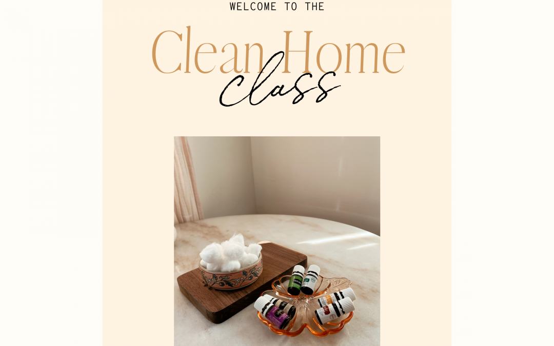 Clean Home